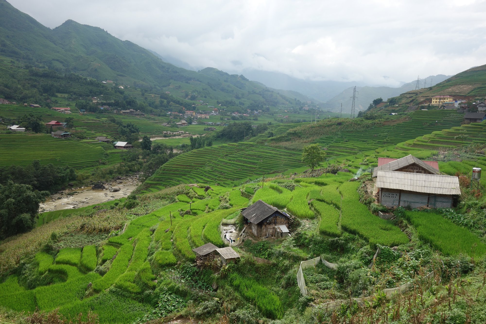 Terraced rice fields in Northern Vietnam